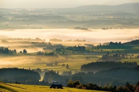 Hilly landscape with morning fog