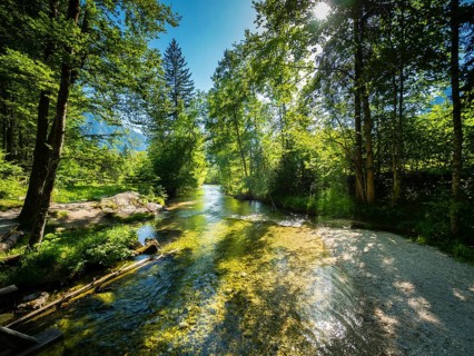 Toplitzbach am Toplitzsee