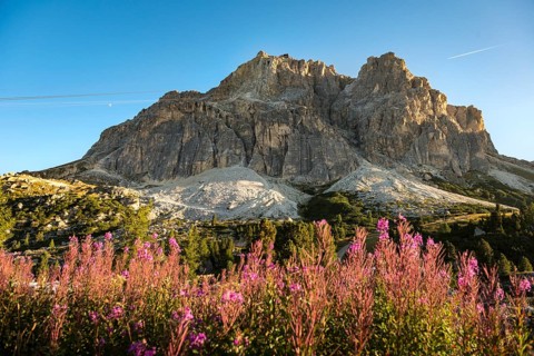 Lagazuoi with flowers