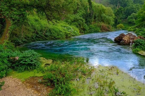 Karst Spring Blue Eye