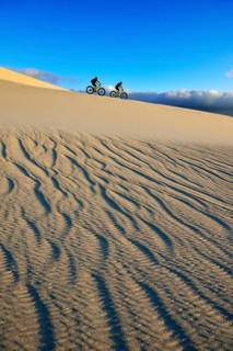 Cycling tour with fatbikes at Die Plaat Beach