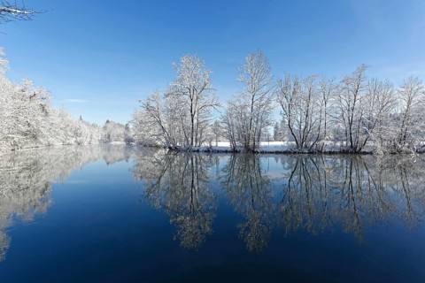 River Loisach with snow-covered trees on the banks