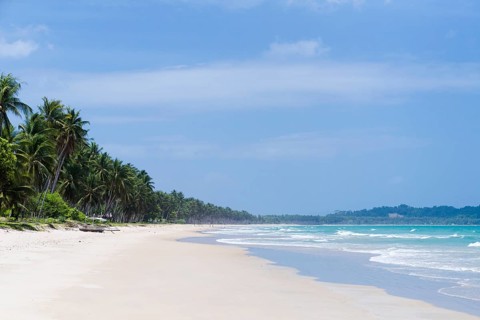 Long sandy beach with palm trees
