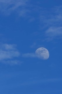Waxing Moon