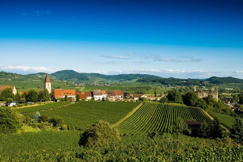Wine village and cultural landscape in autumn