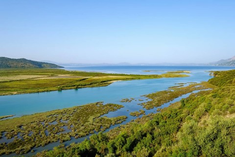 Estuary of the Vivar Canal