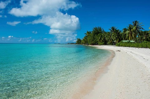 Palm fringed white sand beach in the turquoise waters of Tikehau