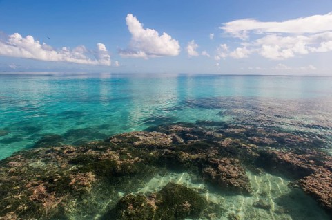 Clear waters