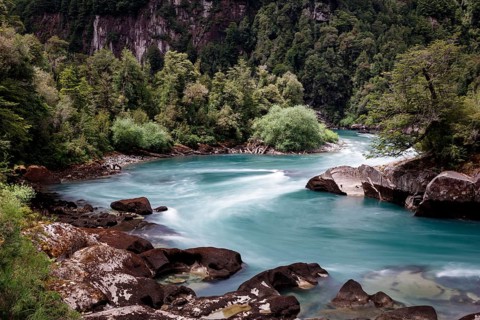 Turquoise mountain river Futalefu flows through dense vegetation