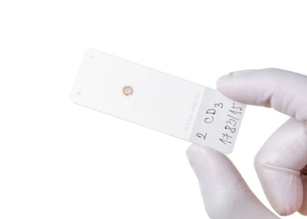 Microscope slide