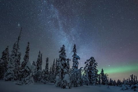 Starry sky with Milky Way and northern lights over snow-covered trees