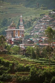 Terrace fields on the slope