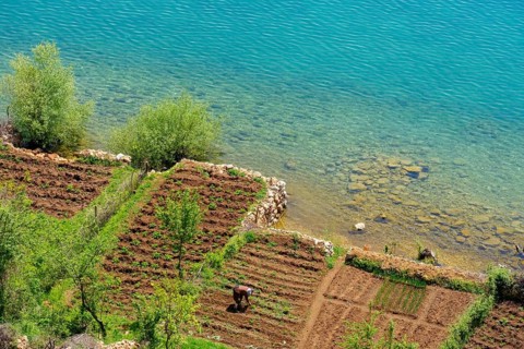 Small cultivated fields on the lake shore