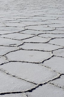 Honeycomb structure on the salt lake