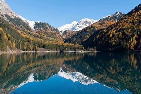 Mountain lake with European larch (Larix decidua) in autumn