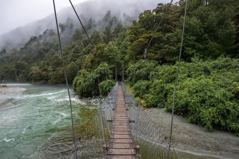 Hollyford Track Suspension Bridge