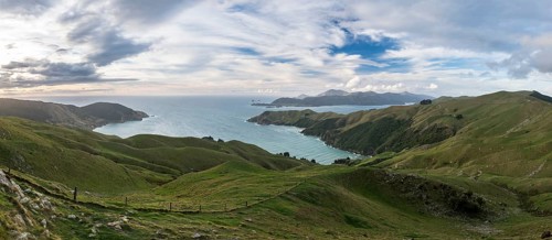 View of meadows and rocky coast at French Pass