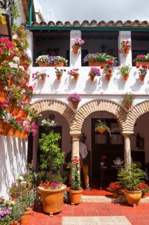 Many flowers in flowerpots in the courtyard on a house wall