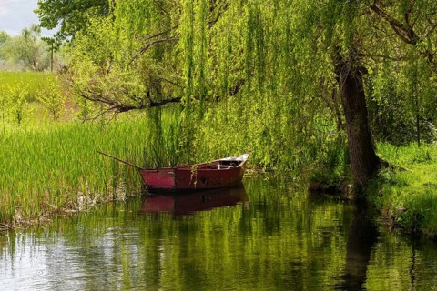 Old boat in the lake on the shore