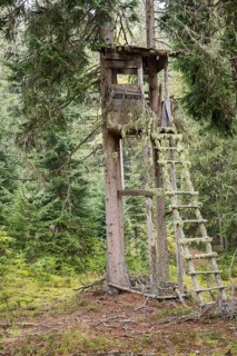 Hunting stand