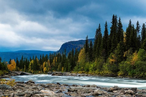 Rapids of Gamajahka