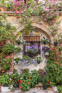Many colorful flowers on a house wall in the courtyard