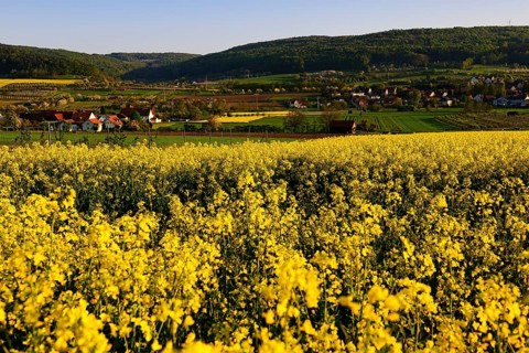 Trubachtal near Wannbach
