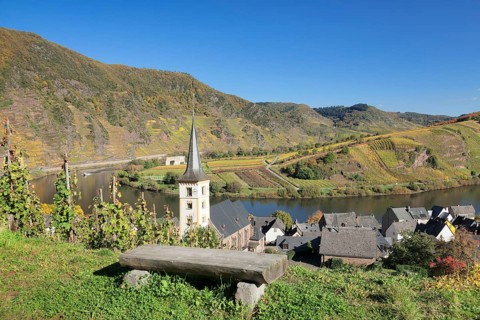 Vineyard at Moselleschleife near Bremm
