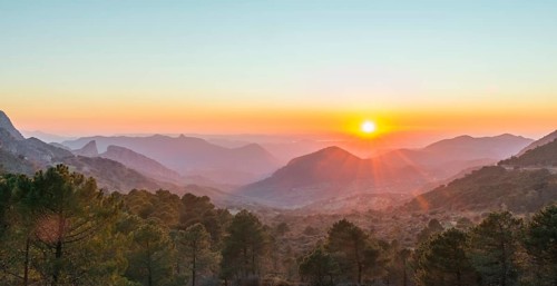 Wooded mountain landscape at sunset