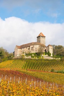 Castle Lichtenberg