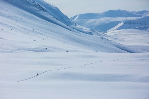 Ski tourer with pulka in the snow