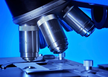 Microscope