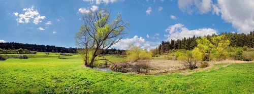Spring at the idyllic brook and biotope Morsbach