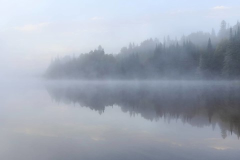 Morning mist