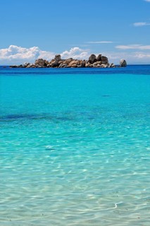 Palombaggia beach with turquoise green sea