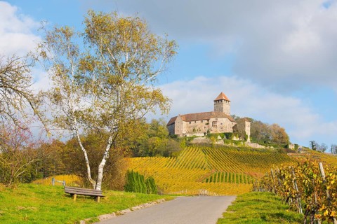Castle Lichtenberg