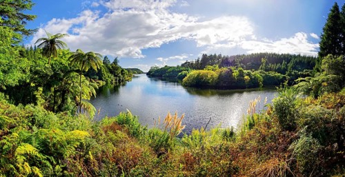 Idyllic lake in the middle of tropical rainforest