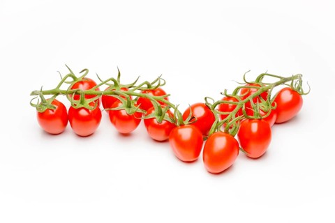 Mini Cherry Tomatoes