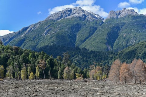 Destroyed forest by a landslide in Villa Santa Lucia
