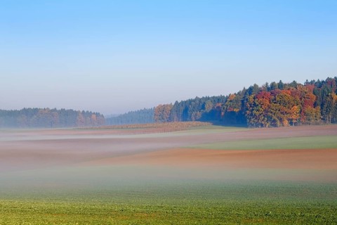 Morning mist near Perletzhofen near Riedenburg