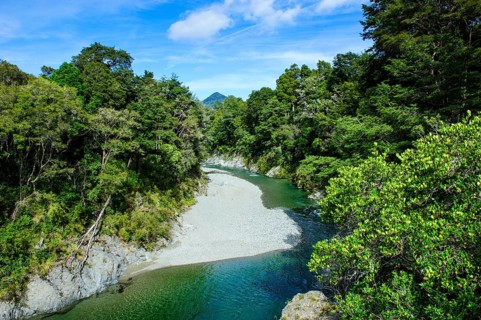 River contributing water to the Marlborough Sounds