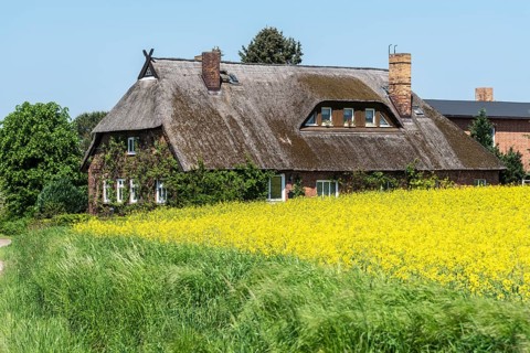 Thatched Cottage