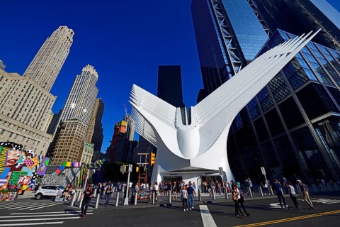 Oculus
