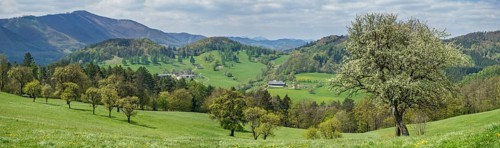 Spring Landscape with mountains Hocheck
