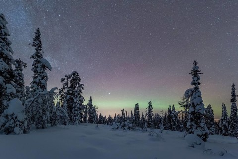 Starry sky with Milky Way and northern lights over snow-covered trees