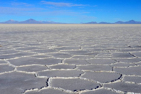 Honeycomb structure on the salt lake