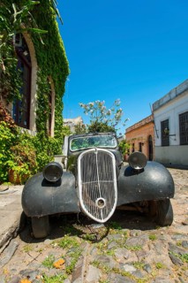 Car wreck of an oldtimer overgrown with flowering plants