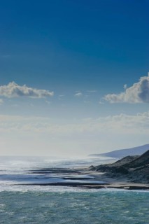 Kauri Coast