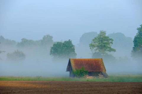 Barn in the morning fog