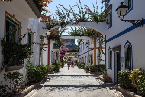 Typical alley decorated with flowers